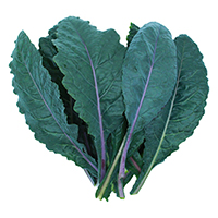 Kale